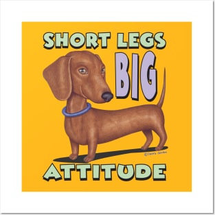 Cute Brown Doxie  with classic pose short legs big attitude Posters and Art